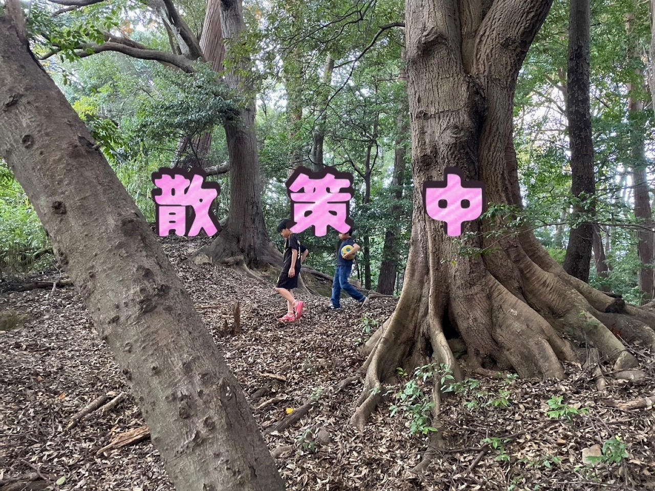 山へいったよ♪